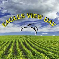Eagles View UAV
